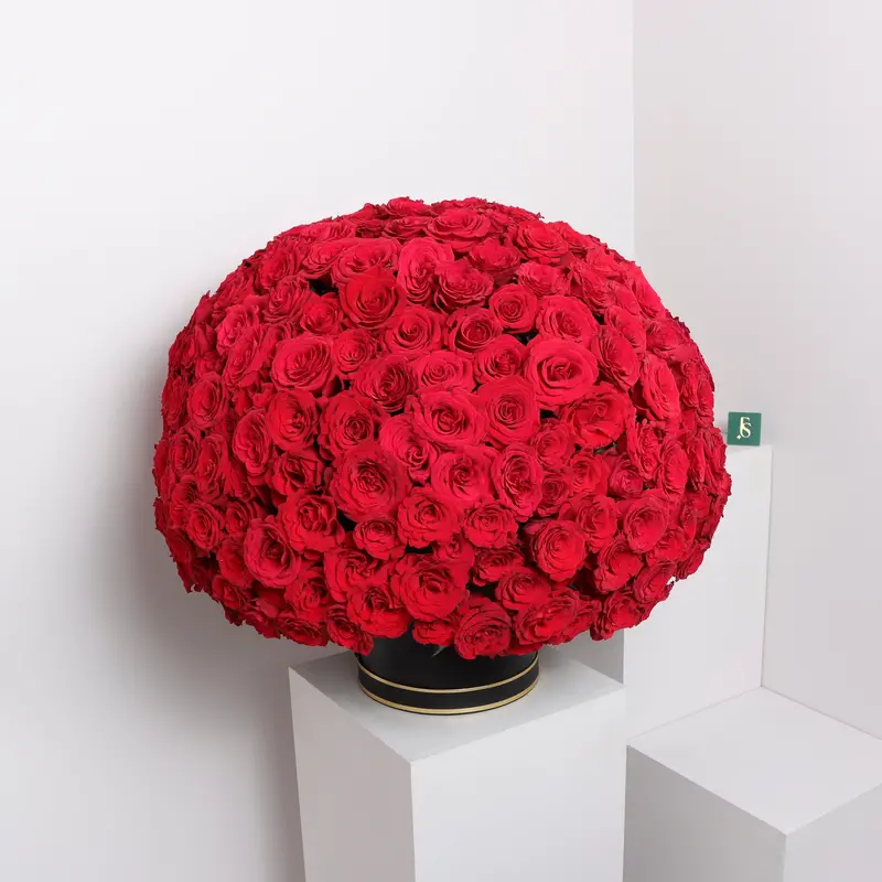 300-Red-Rose Sphere Box – Statement Floral Centerpiece 1