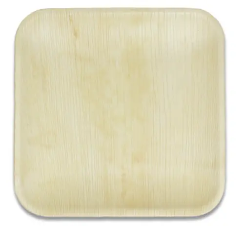 Green Ard Areca Palm Square Disposable Plate – 8-Inch, Eco-Friendly & Sustainable (100 Pcs) 1