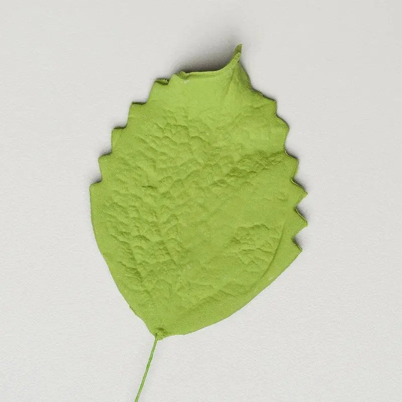 Large 3.5-Inch Artificial Hibiscus Leaves With Stem Wire – Vibrant Green 1