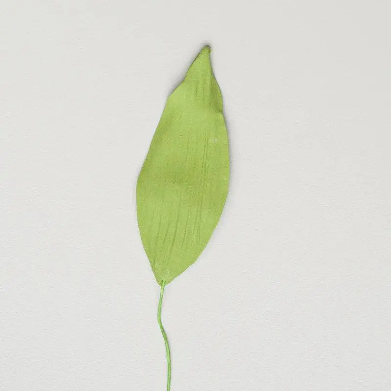 Medium 2.75-Inch Artificial Orchid Leaves With Stem Wire – Fresh Green 1