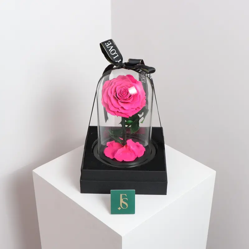 Single Preserved Pink Rose – Long-Lasting Keepsake Bloom 1
