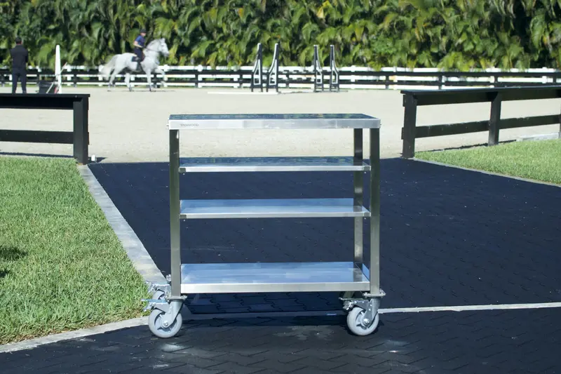 Tagwood Pro-Line Stainless Steel Working Table – Heavy-Duty Outdoor Kitchen Station (Bbq10Ss) 1